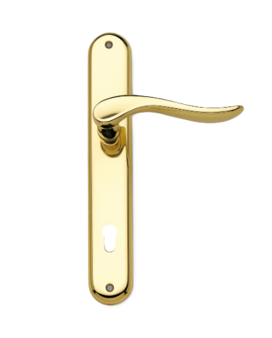 DAFNE OTTONE LUCIDO C/PLACCA YALE