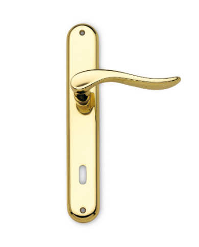 DAFNE OTT.LUCIDO C/PLACCA 8X70