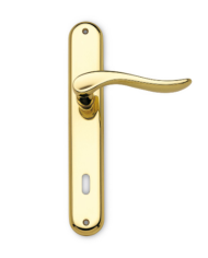 DAFNE OTT.LUCIDO C/PLACCA 8X70