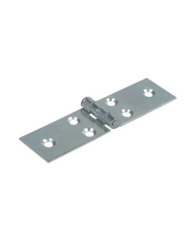 CERNIERE FERRO ZINCATE STRETTA  22X100