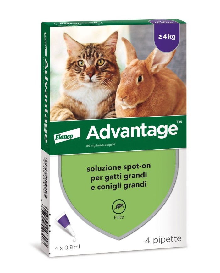 ADVANTAGE SPOT ON 80 GATTI OLTRE KG.4