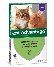 ADVANTAGE SPOT ON 80 GATTI OLTRE KG.4