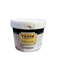 BASE PERLESCENTE LIVORNO LT.2,5