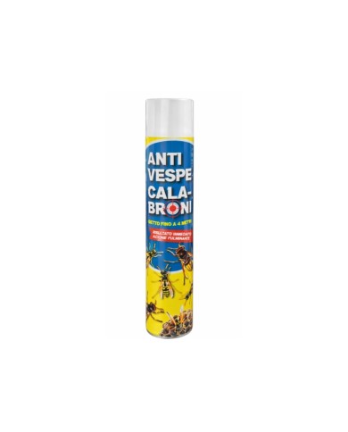 INSETTICIDA ANTIVESPE E CALABRONI ML.750 SPRAY