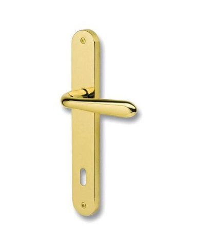 MANIGLIA GOCCIA C/PLACCA 8X70 O.L.V