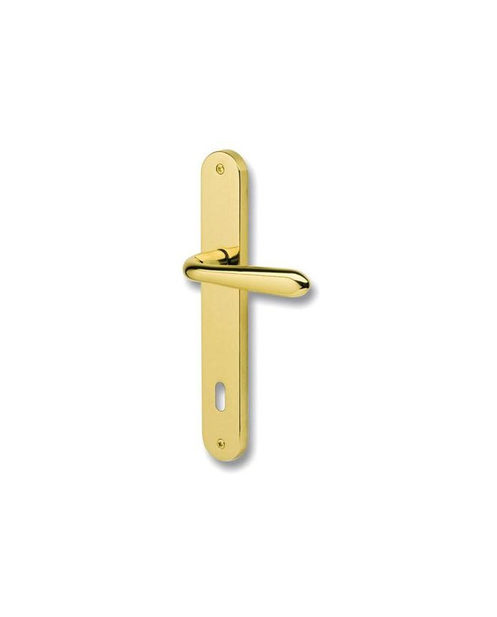 MANIGLIA GOCCIA C/PLACCA 8X70 O.L.V