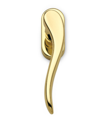 DAFNE CREMONESE D.K.OTT.LUCIDO