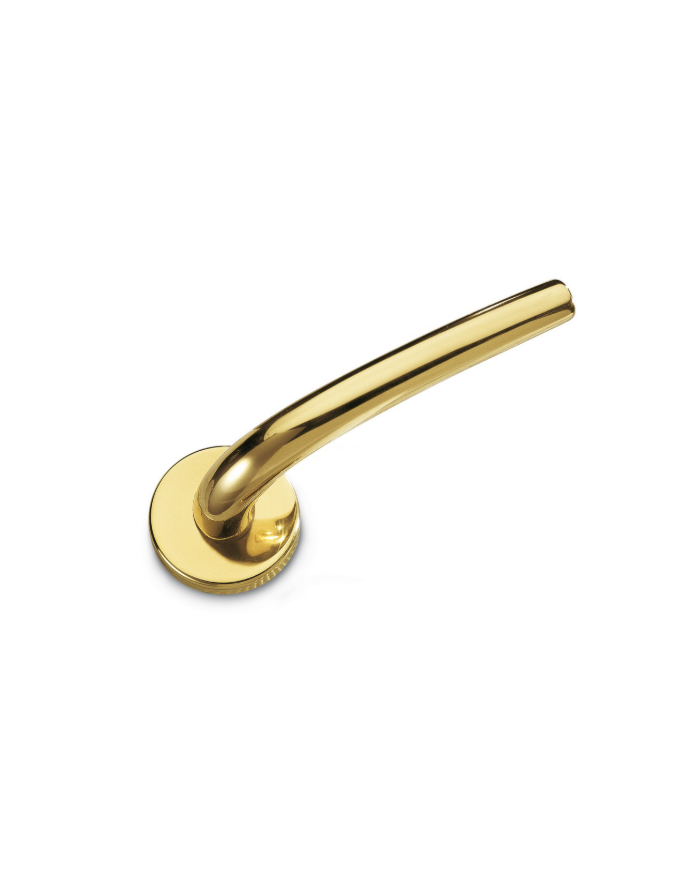 MIKI CON ROSETTA OTT.LUCIDO