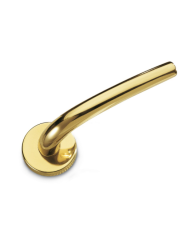 MIKI CON ROSETTA OTT.LUCIDO