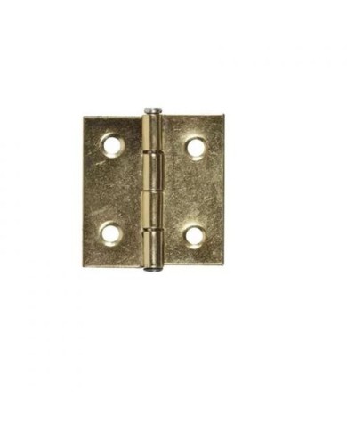 CERNIERE FERRO PERNO SFILABILI 45X30