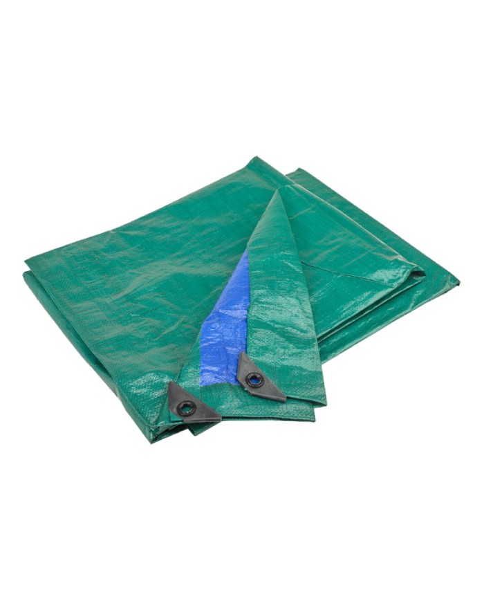TELONE OCCHIELLATO IN POLIETILENE  8X10 VERDE