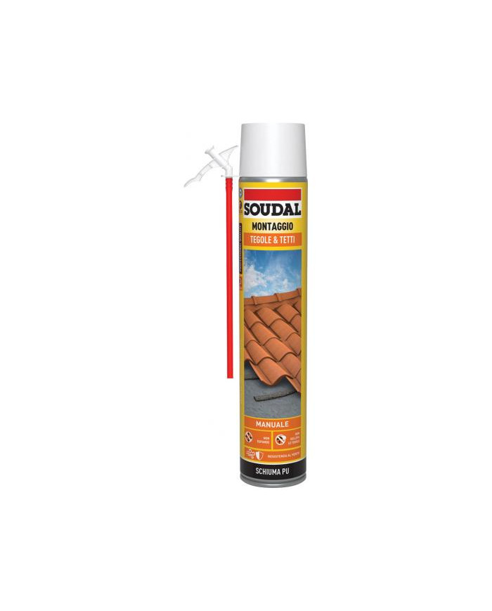 SCHIUMA TEGOLE E TETTI MANUALE 750ML