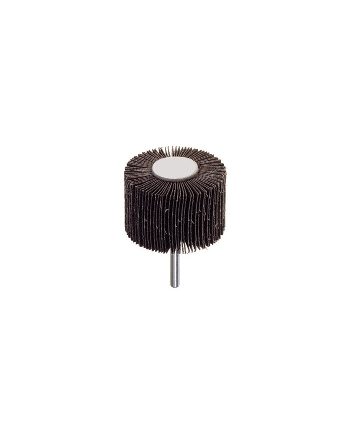 MOLE ABRASIVE LAMELLARI 50X20 C/COD