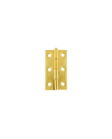 CERNIERE FERRO OTTONATO FISSE 30X22