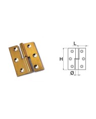 CERNIERE OTTONE LUCIDO SFILABILE 50X40 SX