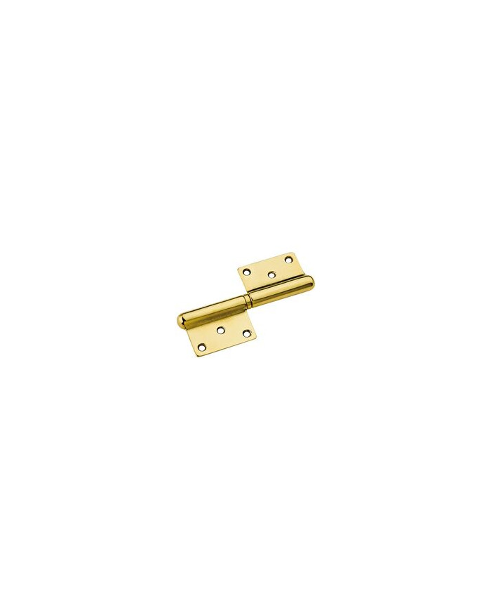 CERNIERE GROSSEZZA S/CAP OTTONE LUCIDO MM.100 DX