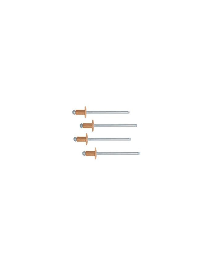 RIVETTI IN RAME 4X14 PZ.55