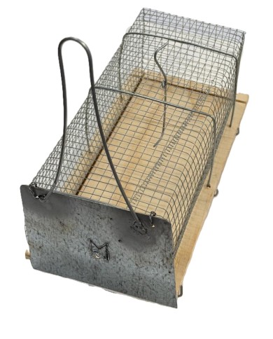 TRAPPOLA TOPI C/GABBIA ARTIGIANALE