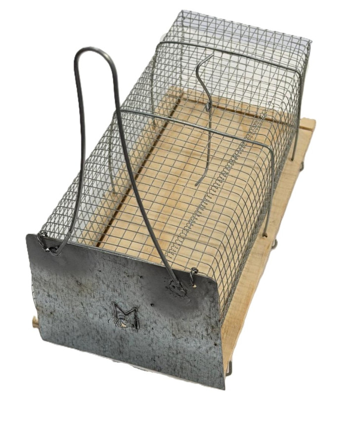 TRAPPOLA TOPI C/GABBIA ARTIGIANALE