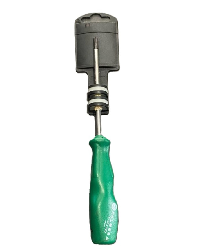 GIRAVITE TORX T25X4,5X100