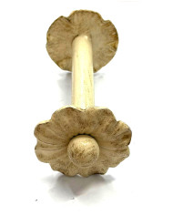 FERMATENDA PETALO AVORIO ORO