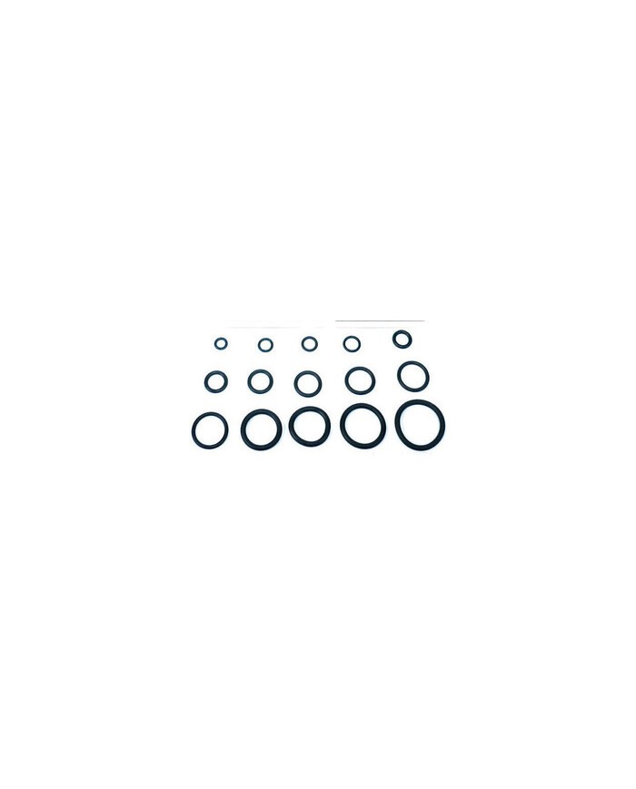 GUARNIZIONI O-RING 8.9X1.9 P/FLESSIBILE MISCELATOR