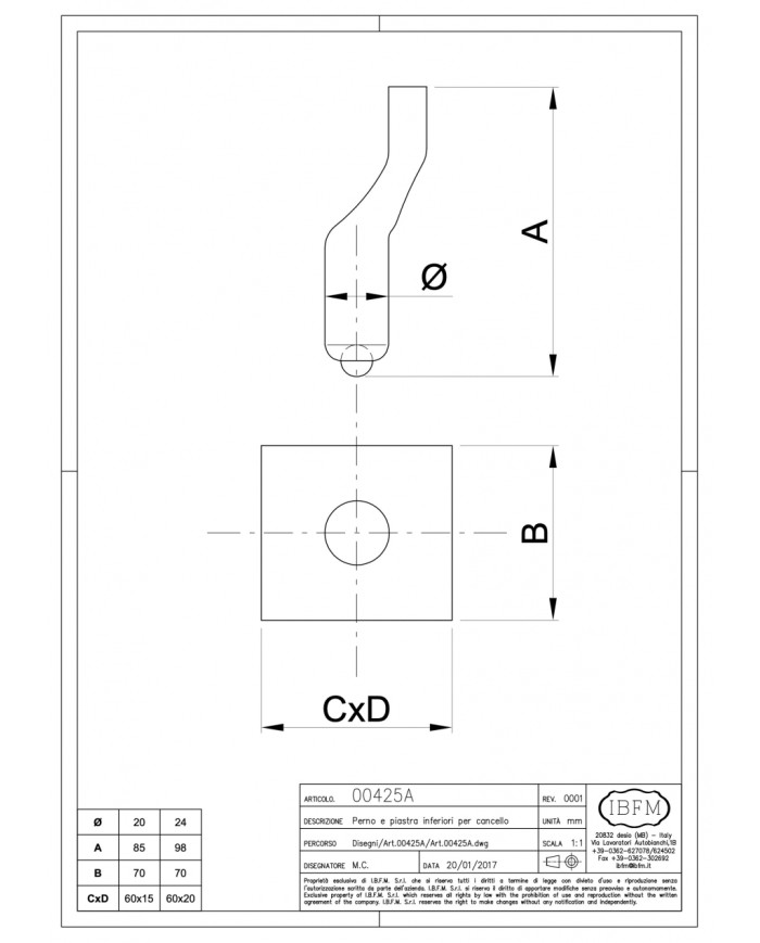 PIASTRA+PERNO INFILARE CANCELLO MM.20
