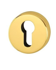 MAN.ZIRCONIO 250/45 C/ROS.YA *