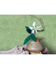 ROCOCO STUCCO VENEZIANO 1000 4LT